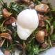 Image for article titled Salad for breakfast is pretty damn good